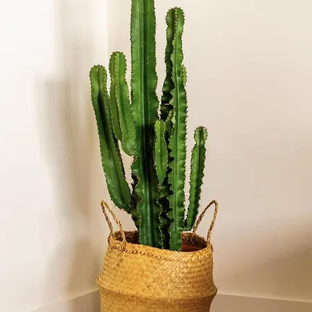 Modern 1-bed With Big Balcony Near Beaches * Costa da Caparica