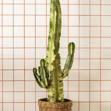 Appartement Modern 1-bed With Big Balcony Near Beaches