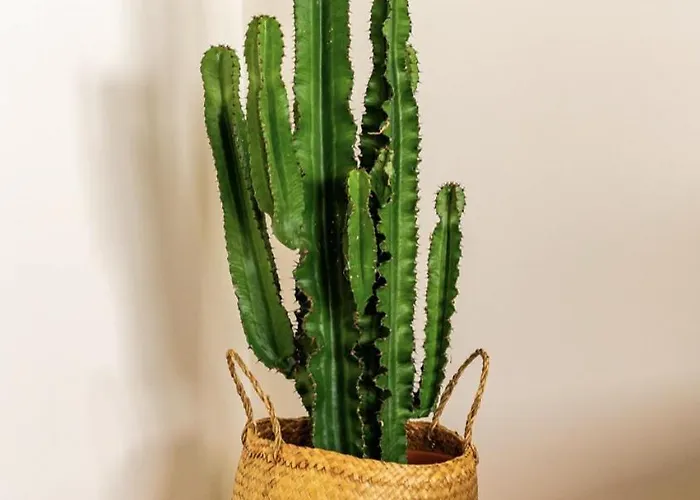 Modern 1-bed With Big Balcony Near Beaches * Costa da Caparica