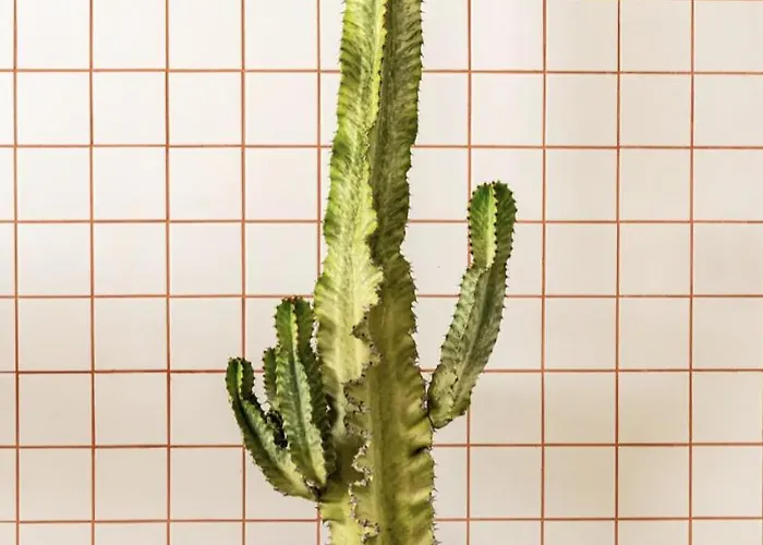 Appartamento Modern 1-bed With Big Balcony Near Beaches